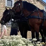 Au Val Des Ondines Ondenval