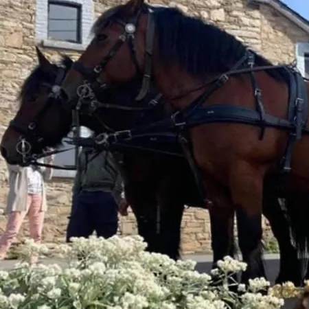 Au Val Des Ondines Ondenval