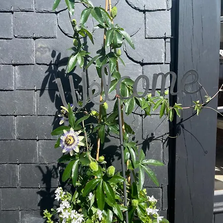 Feriehus Au Val Des Ondines *