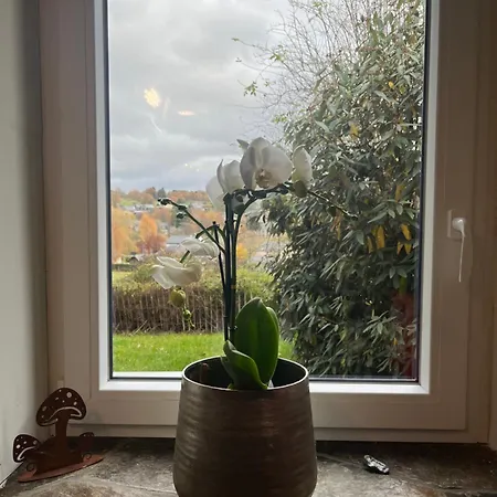 Au Val Des Ondines Vakantiehuis