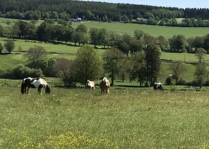 Au Val Des Ondines Vakantiehuis
